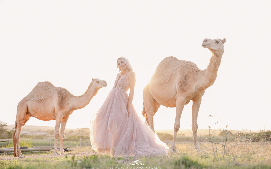 Styled shoot with Gela